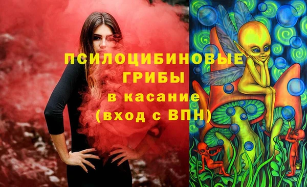 гашик Абаза