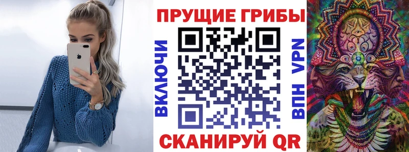 Галлюциногенные грибы ЛСД KRAKEN ТОР Мурино где купить наркоту